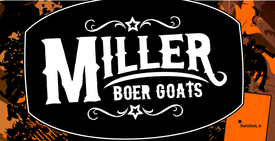 Miller Boer Goats