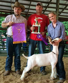 Winners