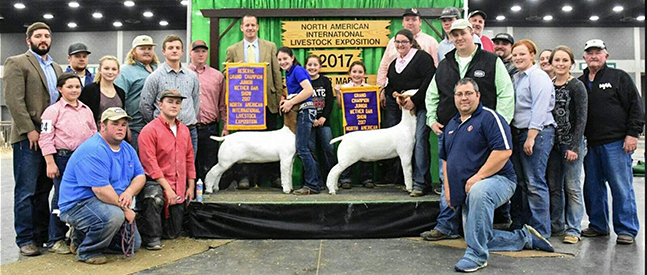 Winners