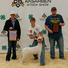 Winners