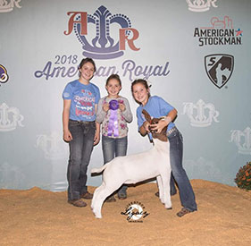 Miller Boer Goats Winners
