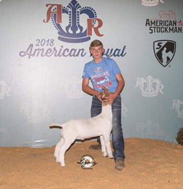 Miller Boer Goats Winners