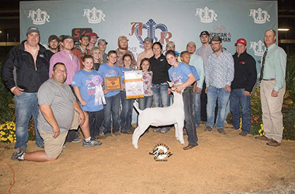 Miller Boer Goats Winners