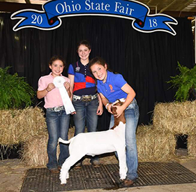 Miller Boer Goat Winners