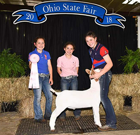 Miller Boer Goat Winners