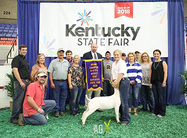 Miller boer Goat Winners