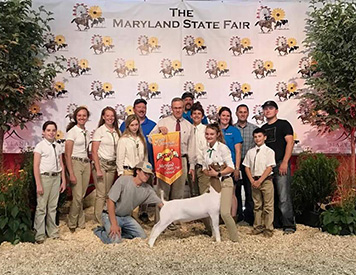 Miller Boer Goat Winners