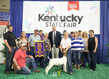 Miller Boer Goat Winners