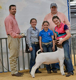 Miller Boer Goats