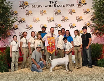 Miller Boer Goat Winners