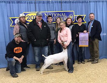 Miller Boer Goat Winners