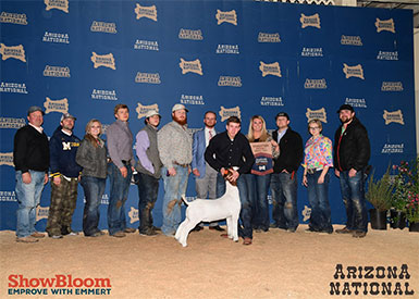 Miller Boer Goats Winers