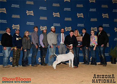 Miller boer Goat Winners